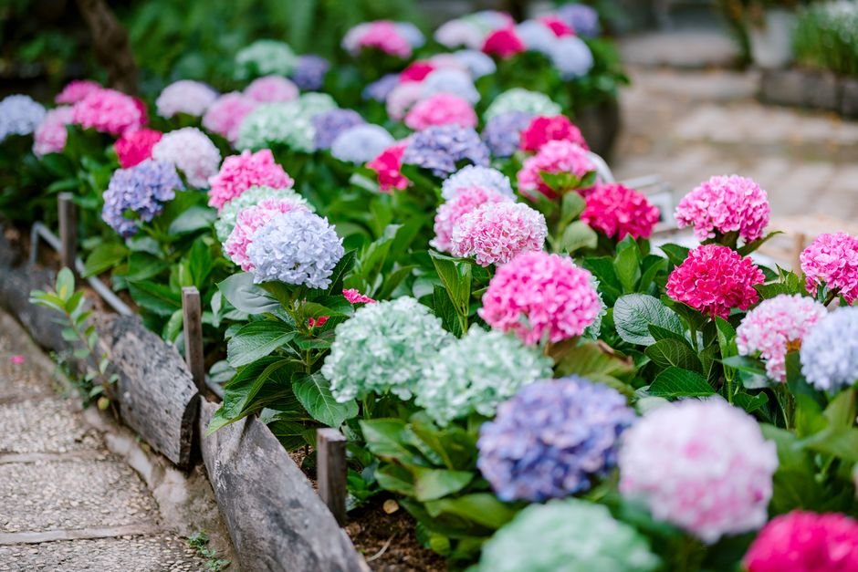 Beautifully landscaped garden beds with mulch and colorful flowering plants