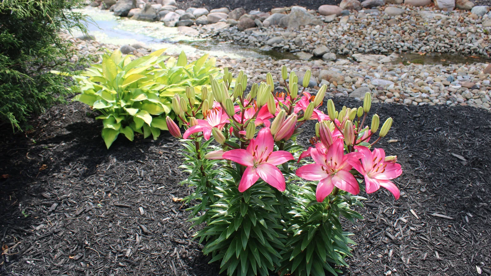 Mulched landscape beds with flowers and a stone border in an Oklahoma yard