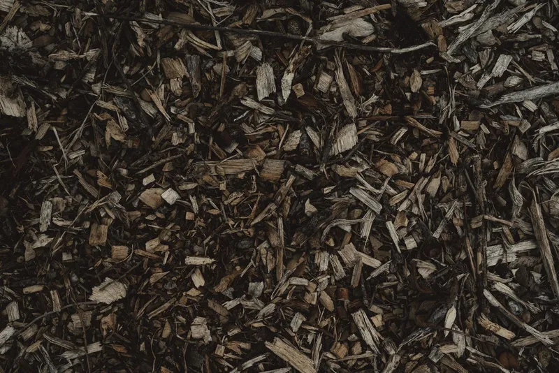 Dark black-dyed wood chip mulch close-up for modern landscape beds in Norman, Oklahoma