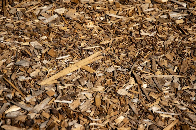 Rich brown wood chip mulch close-up for warm-toned landscape beds in Norman, Oklahoma