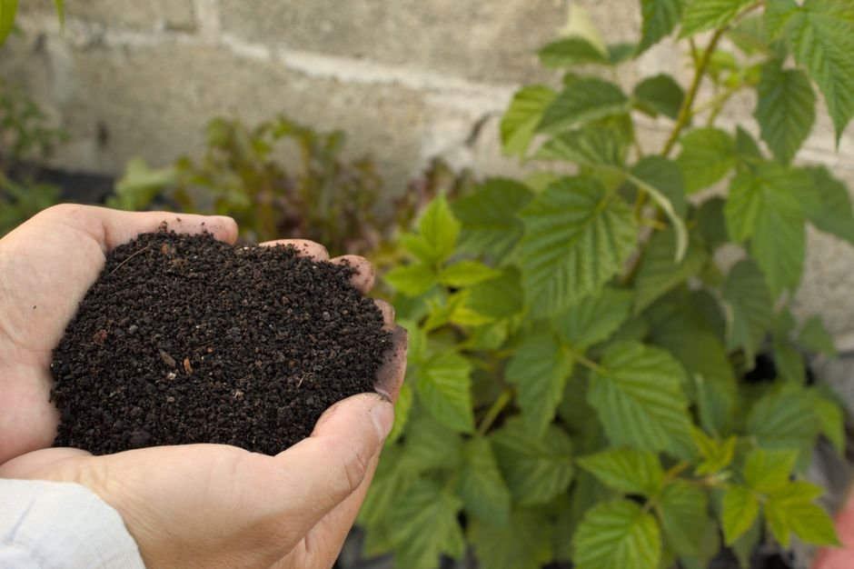 Hands holding dark rich compost soil amendment for Norman Oklahoma red clay garden beds