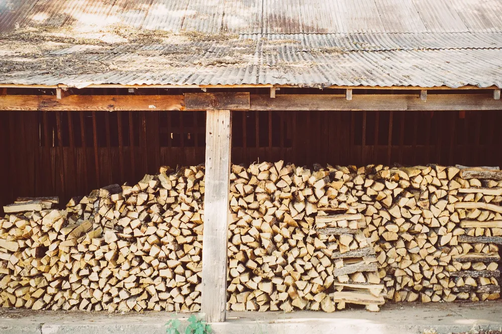 Seasoned hardwood firewood stacked neatly and stored for the season in Norman Oklahoma