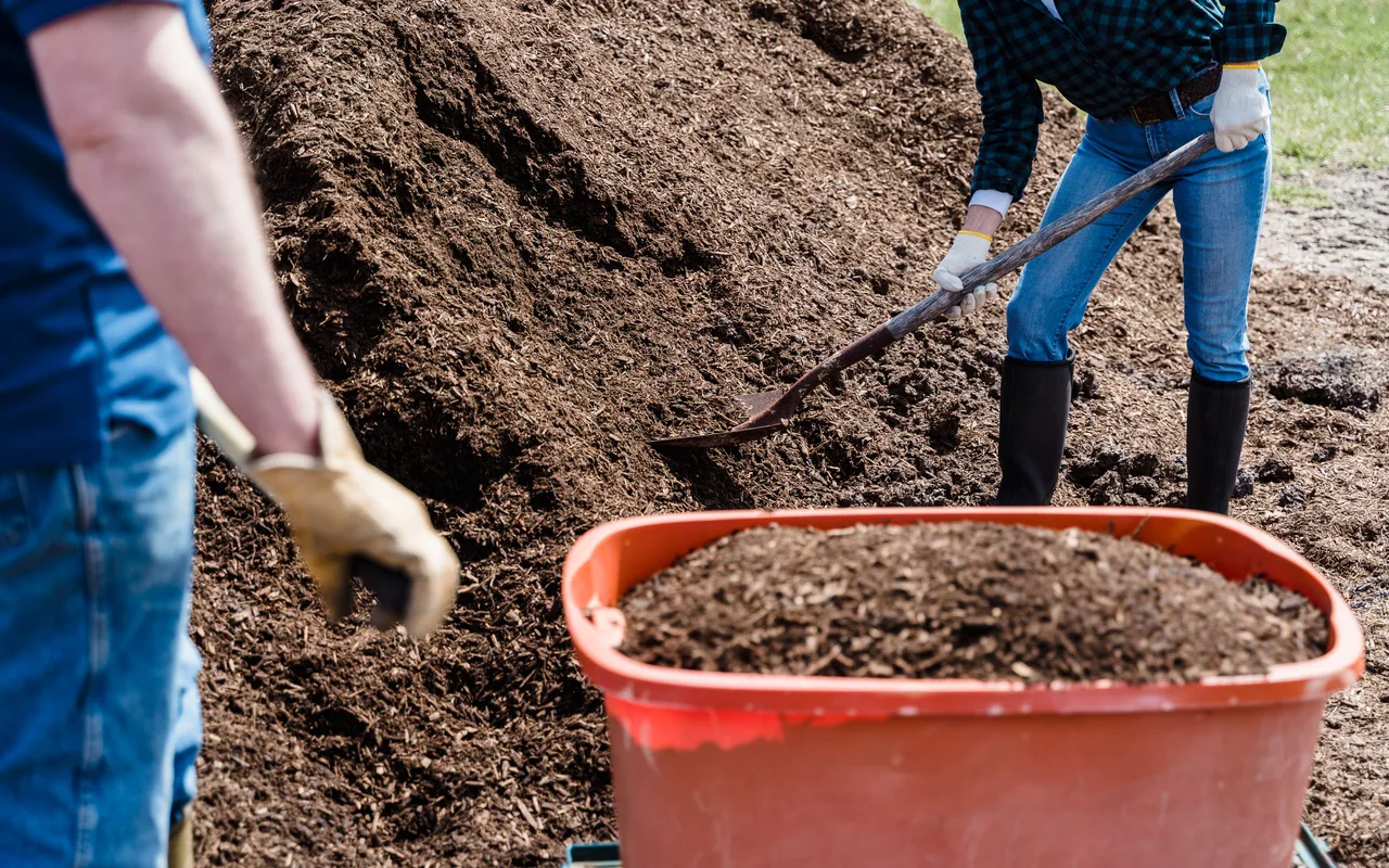 Two people shoveling delivered bulk mulch from a pile into a garden cart in the OKC metro